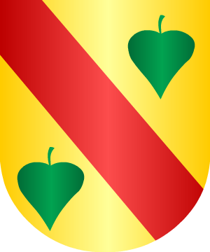 ESCUDO SIGUIENTE